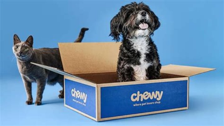 Minka Kelly and Her Dog Chewy Star in a New Campaign for Pet Adoption |