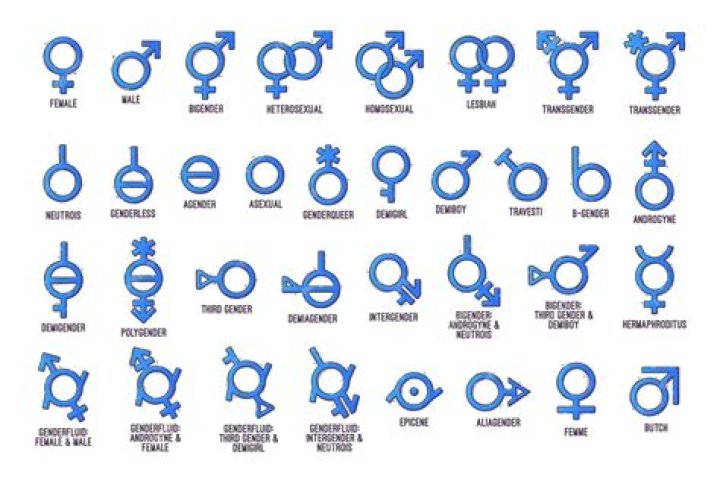 Unraveling The Gender Identity Rumors