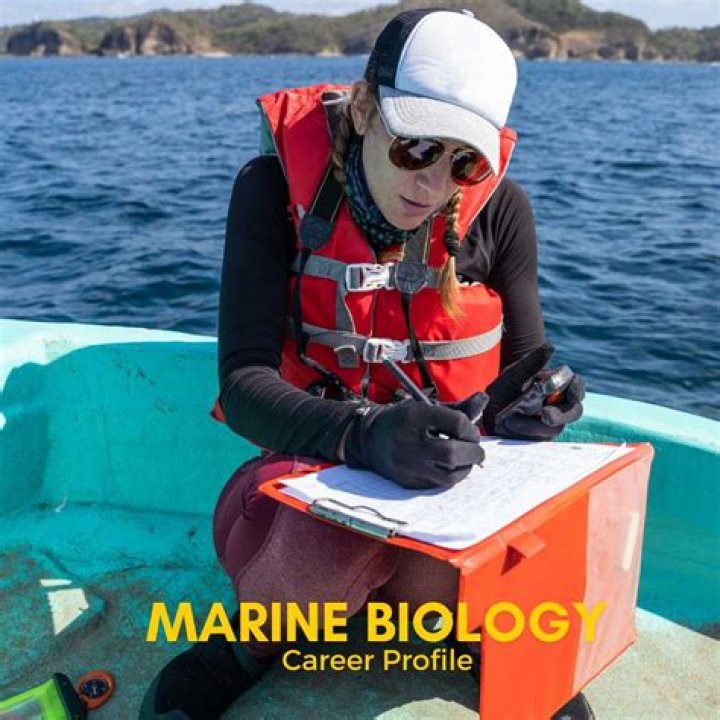 Who Is Marine Biologist Kori